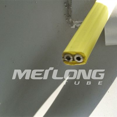 TP316L PVDF encapsuló la línea de control Flatpack con alta presión de dos tubos
