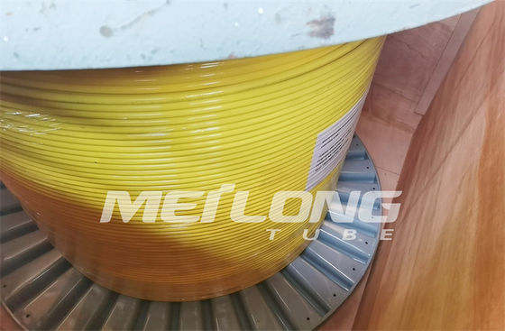 UNS S32750 encapsuló la línea de control nilón estupendo de Rilsan del duplex 2507