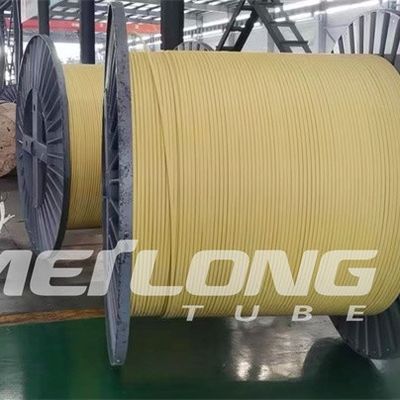 TP316L PVDF encapsuló la línea de control Flatpack con alta presión de dos tubos